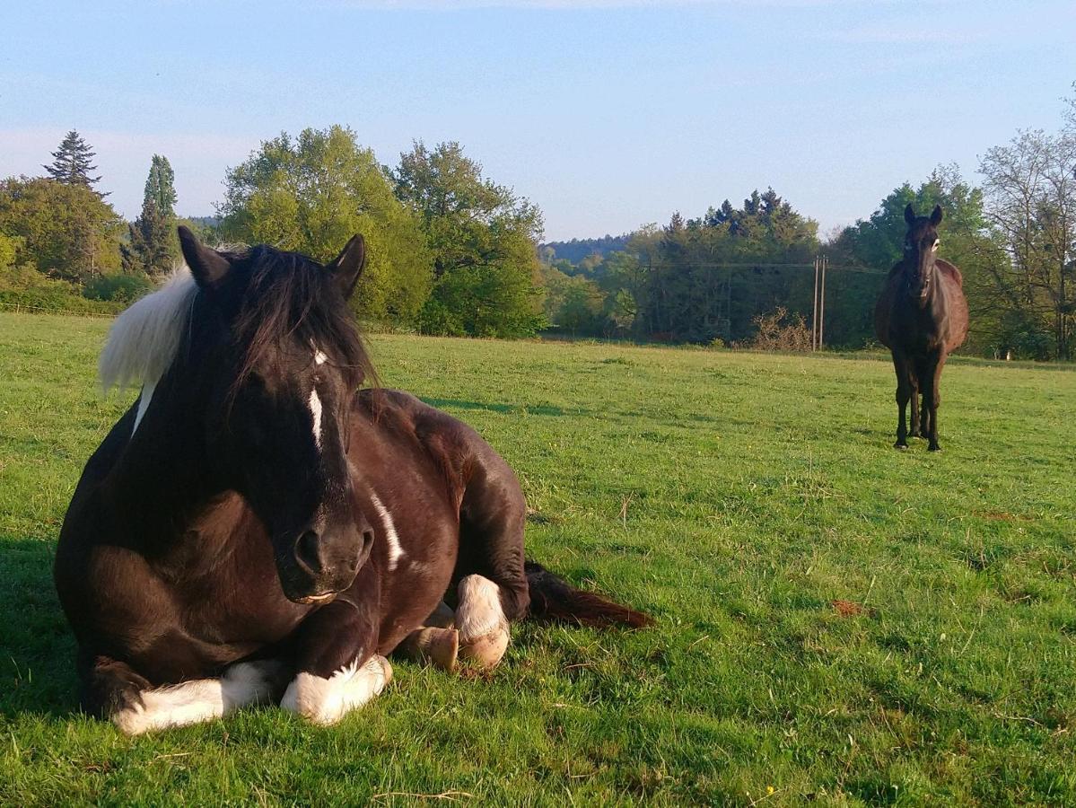 Clan Boucheron Louroux-Bourbonnais Exteriér fotografie